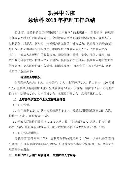 2018年急诊科护理工作总结