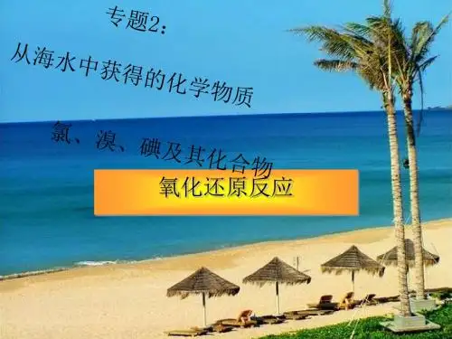 氯、溴、碘及其化合物PPT课件 3 (1)