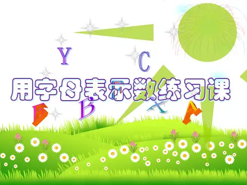 用字母表示数练习课.ppt