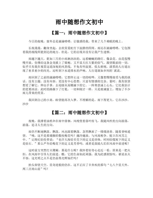 雨中随想作文初中
