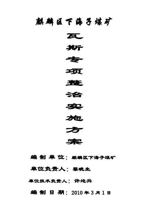 瓦斯专项整治实施方案