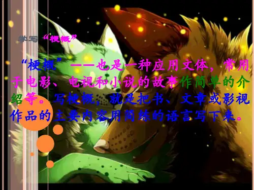 写梗概