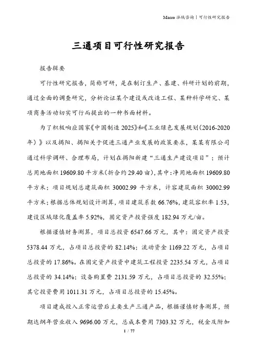 三通项目可行性研究报告