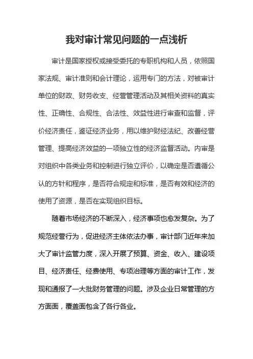 审计常见问题浅析