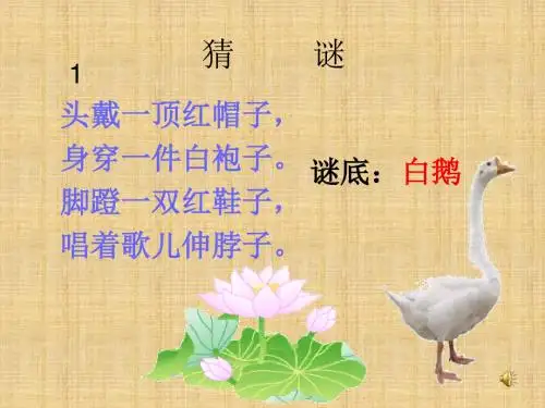 13课《白鹅》PPT课件精编版