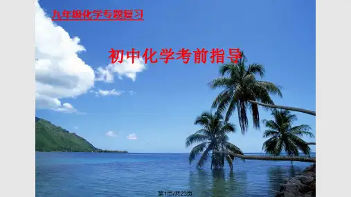 初中化学考前指导PPT课件