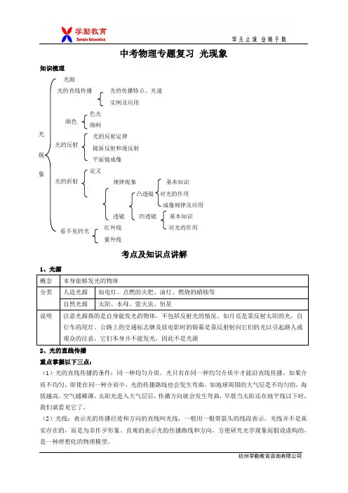 中考物理专题复习 光现象讲义
