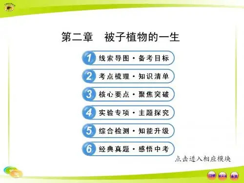 2013版初中生物全程复习方略配套课件：3.2 被子植物的一生(人教版)