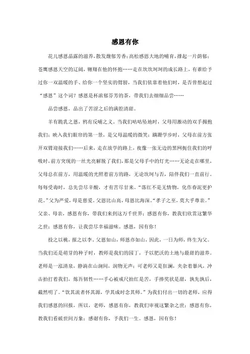 感恩有你_初中初三作文900字