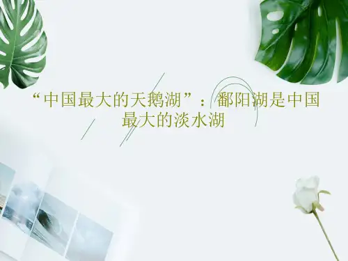 “中国最大的天鹅湖”:鄱阳湖是中国最大的淡水湖共37页文档
