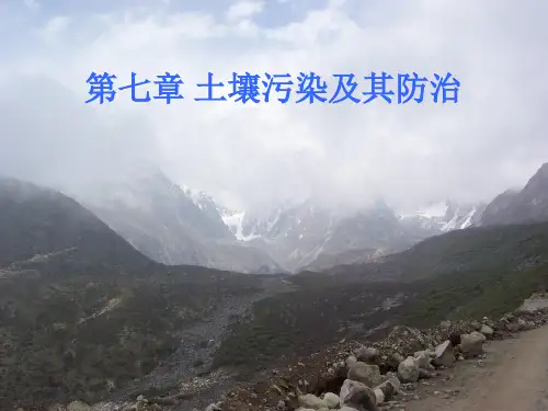 第七章土壤污染及其防治案例