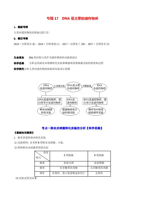 【新高考】高三生物一轮复习专题17 DNA是主要的遗传物质(知识点+练习  讲解)