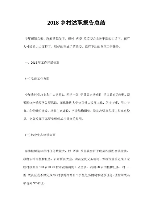 最新2018乡村述职报告总结