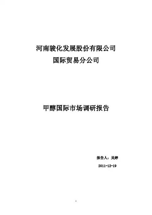 甲醇调研报告