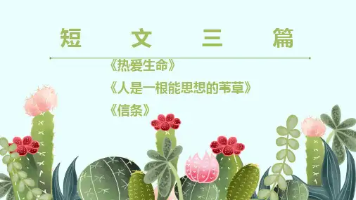 《短文三篇》优秀课件