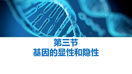 《基因的显性和隐性》PPT优质课件
