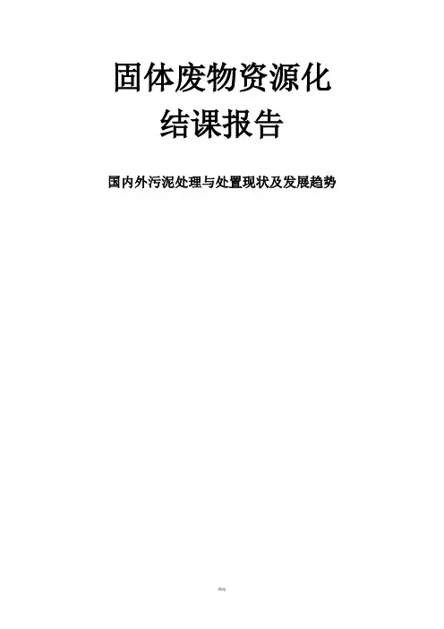 国内外污泥处理与处置现状及发展趋势