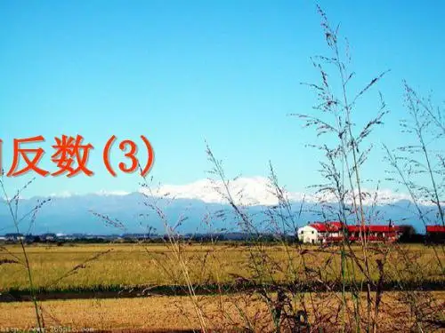江苏专用 苏教版七年级数学《绝对值与相反数》课件2