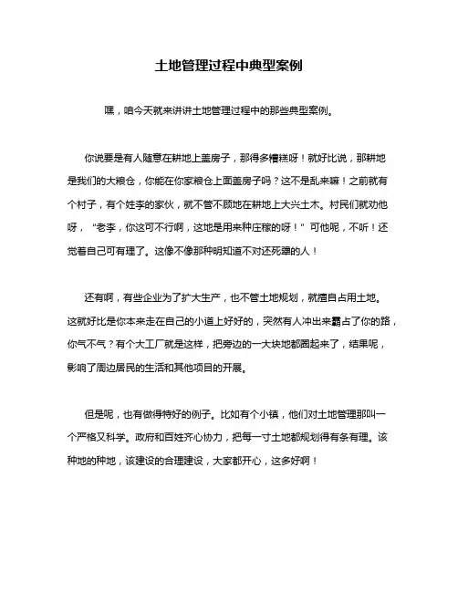 土地管理过程中典型案例