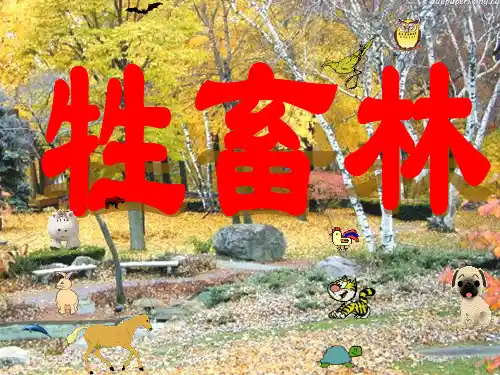 牲畜林优秀教案
