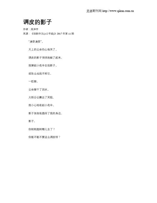 调皮的影子
