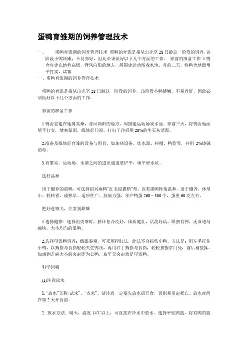 蛋鸭育雏期的饲养管理技术