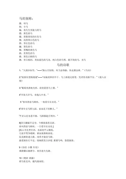 马的别称