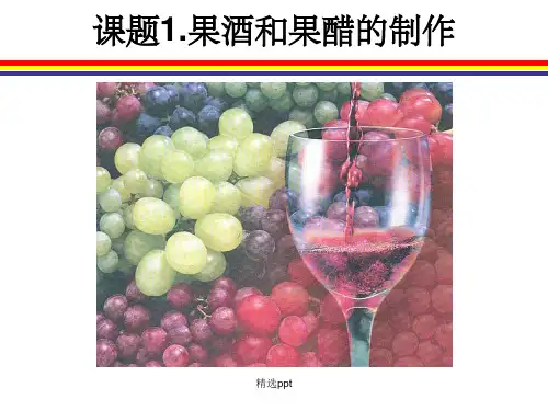 《果酒和果醋的制作》PPT课件