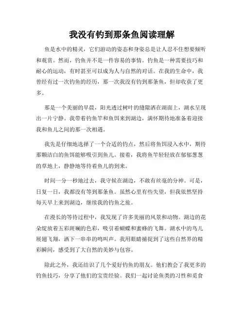 我没有钓到那条鱼阅读理解