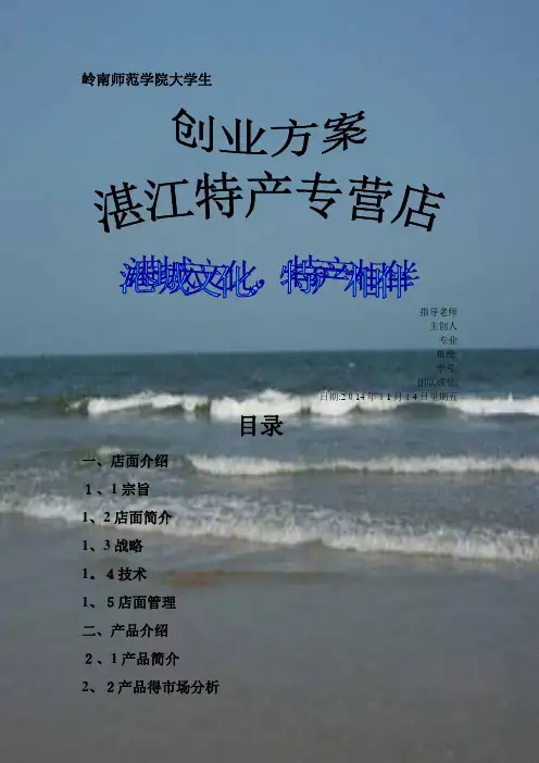 大学生创业方案