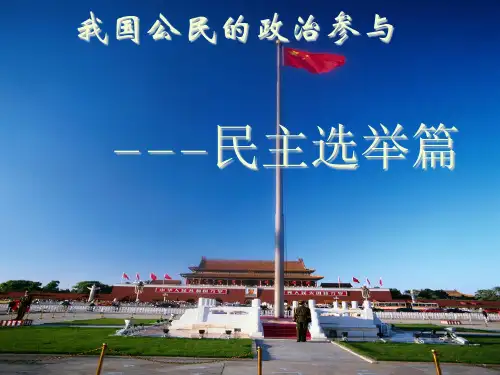 2.1民主选举:投出理性的一票