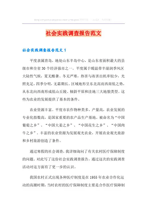 社会实践调查报告范文 2