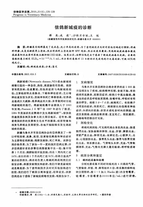 信鸽新城疫的诊断