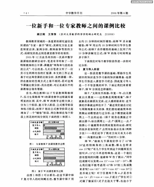 一位新手和一位专家教师之间的课例比较