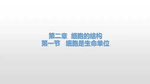 高中生物浙科版2019必修一公开课细胞是生命的单位