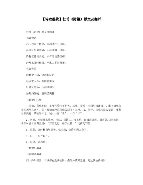 【诗歌鉴赏】杜甫《野望》原文及翻译