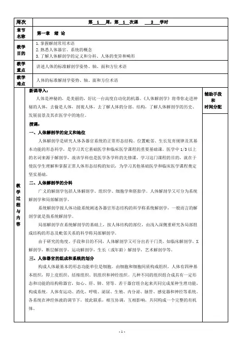 解剖学基础教案