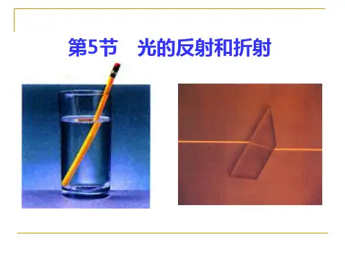 光的反射和折射(三)