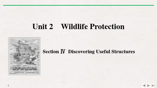 《Wildlife Protection》SectionⅣ 教材课件ppt