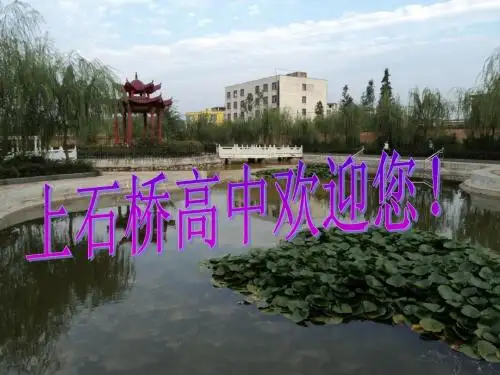 杜甫诗两首