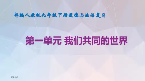 人教版道德与法治九年级下册第一单元 我们共同的世界 复习课件
