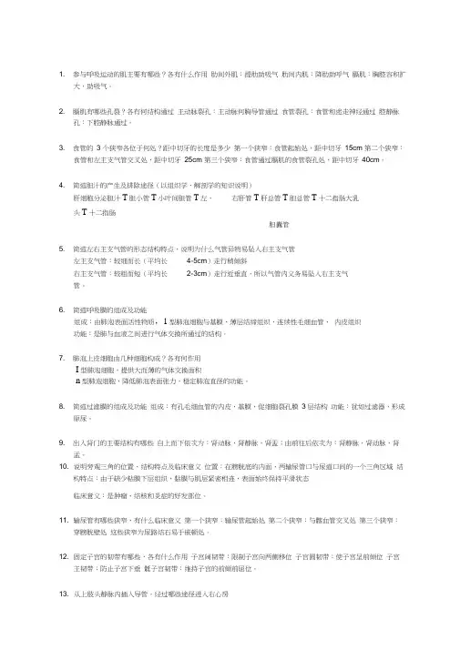 人体解剖学重要简答题加习题答案