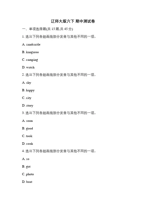 辽师大版六下期中测试卷