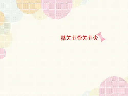 膝关节骨关节炎-文档资料