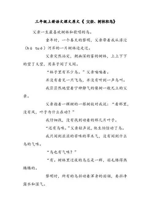 三年级上册语文课文原文《 父亲、树林和鸟》