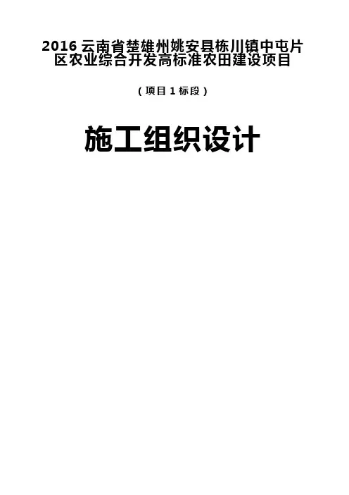 农业综合开发高标准农田建设项目施工组织设计