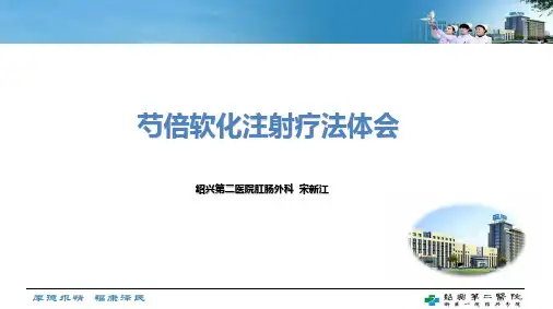 芍倍混合痔软化注射疗法体会