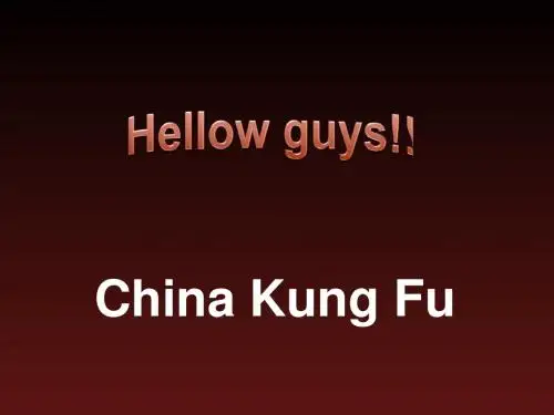 中国功夫1