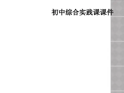 初中综合实践课课件