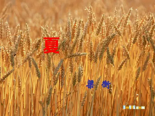 梁衡《夏》